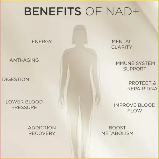 Tnnedey® NAD+ Bee Venom Patch